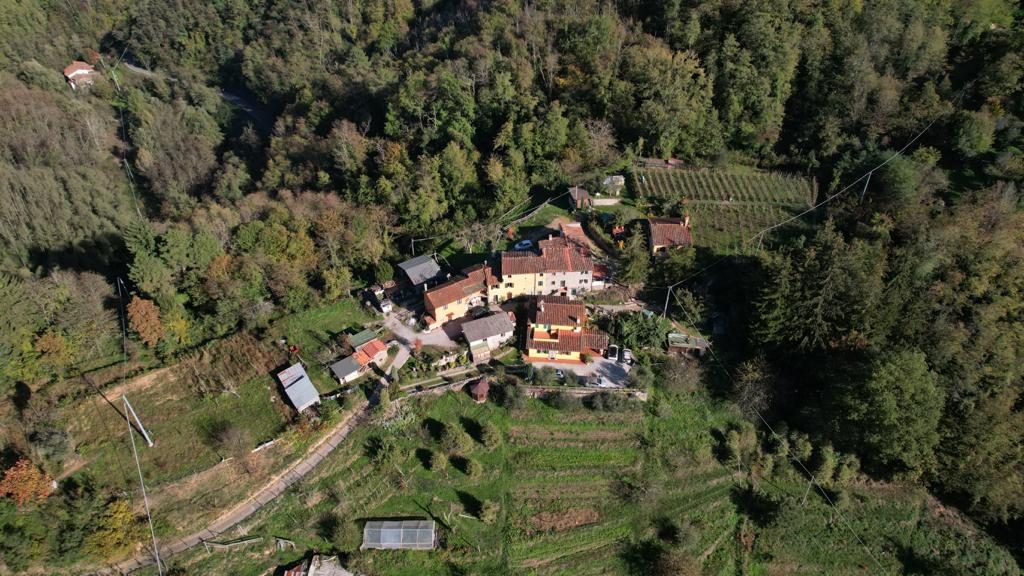 Il borgo e i campi coltivati