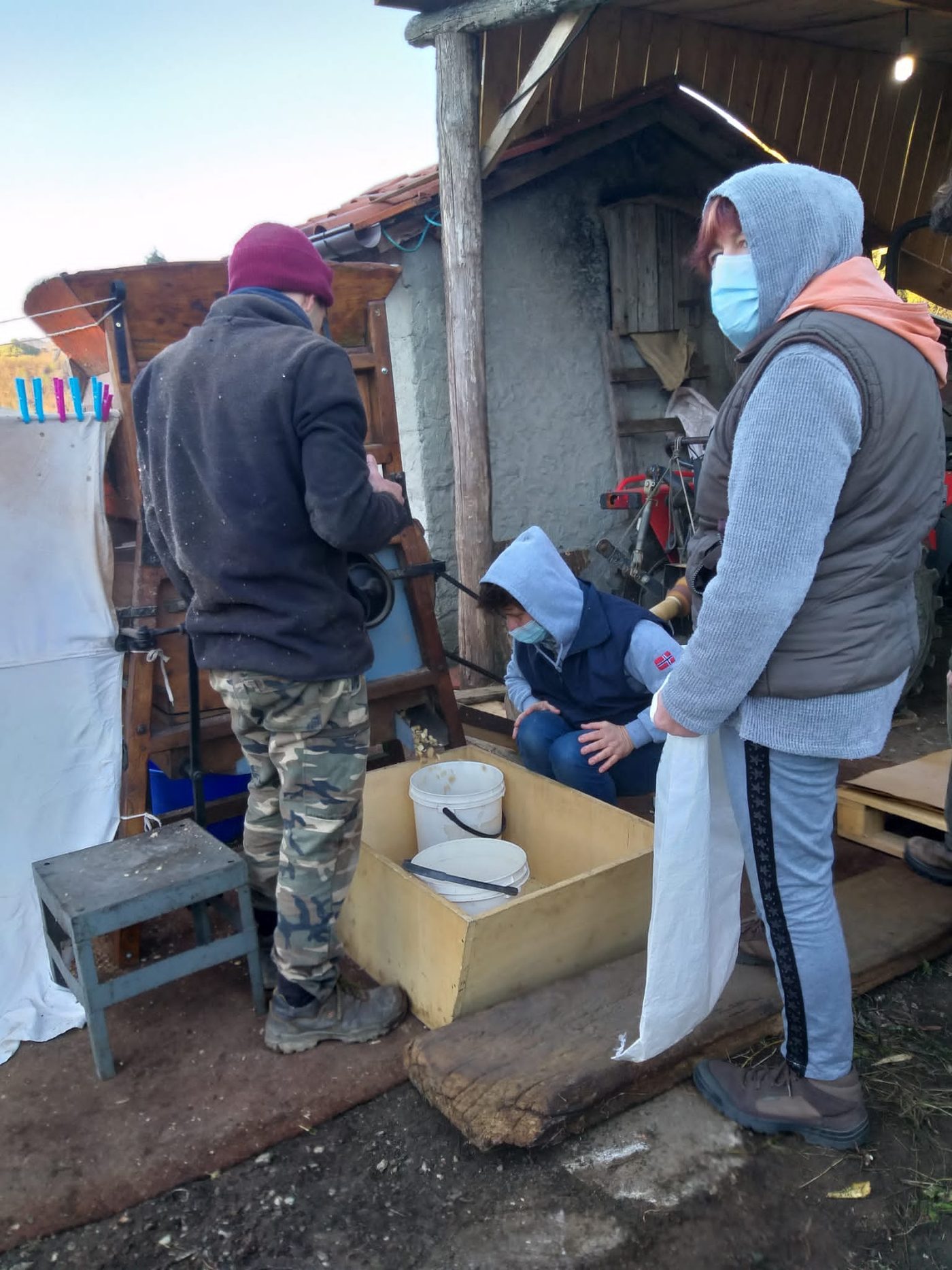 Squadra di lavoro durante la raccolta